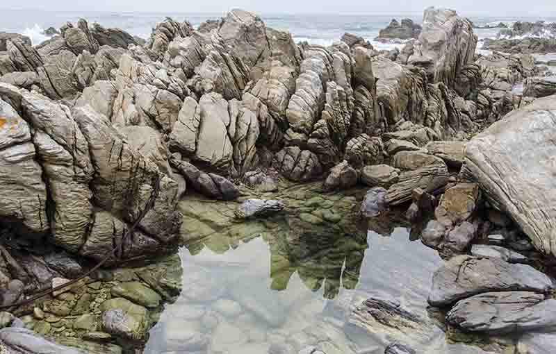 67 - Sudafrica - parque nacional Agulhas - cabo Agulhas - paisaje